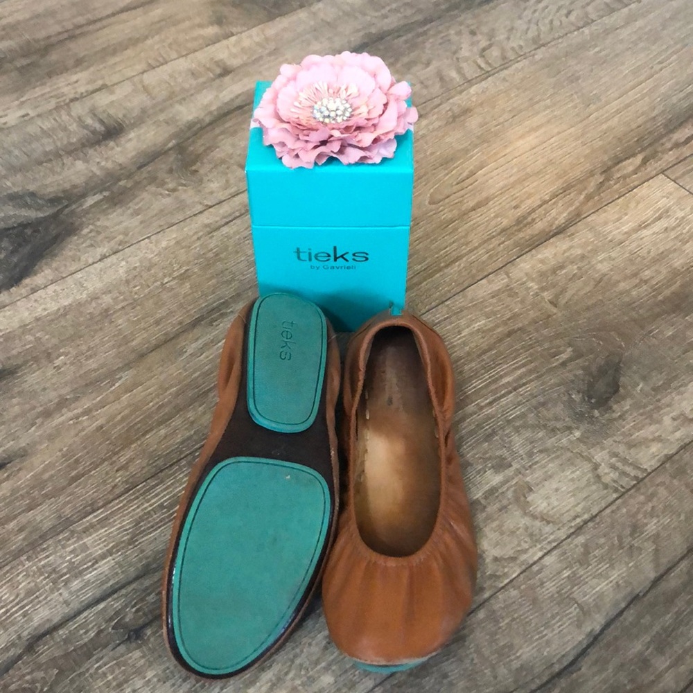 Tieks- Worn